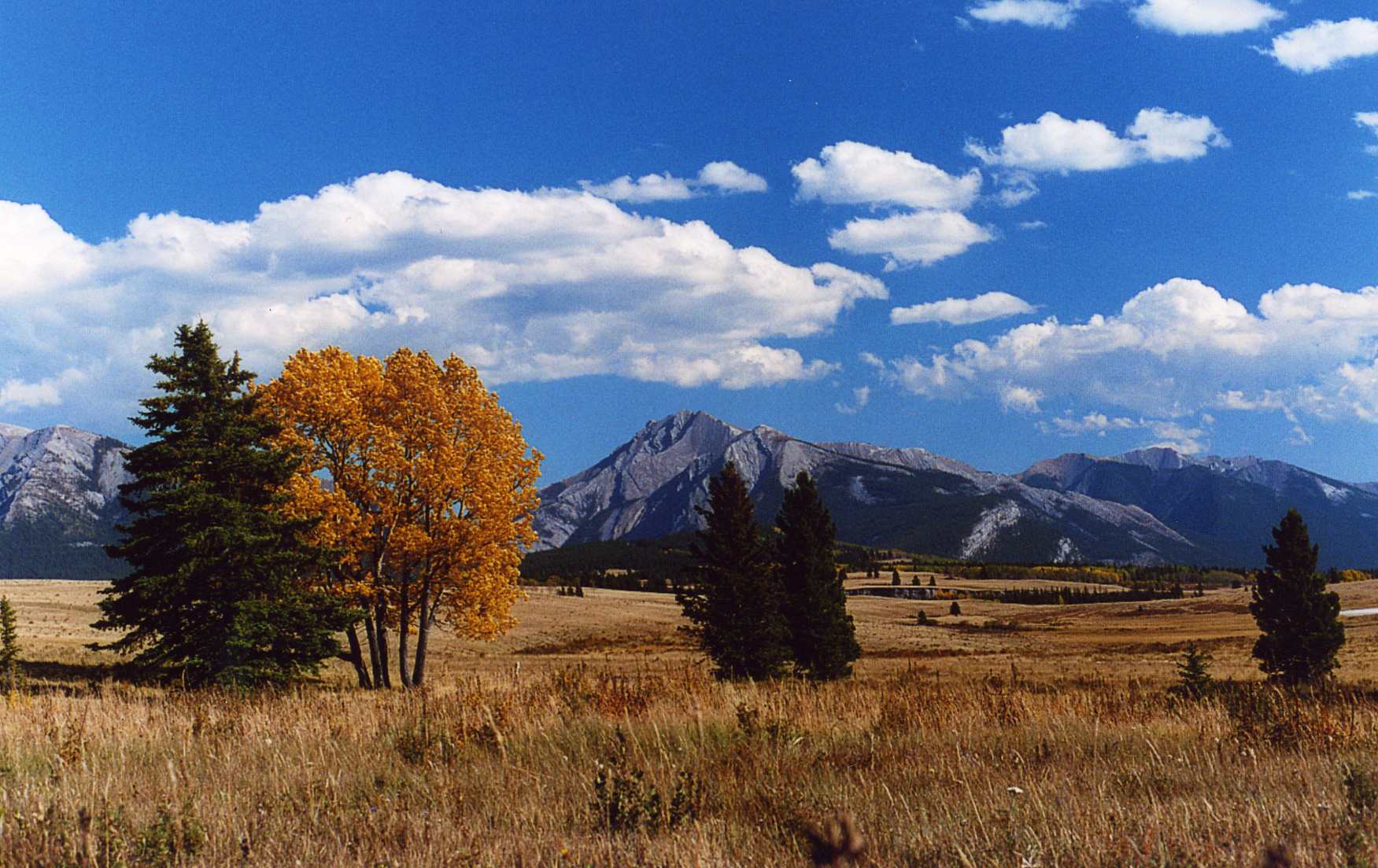 yht-fall-colours