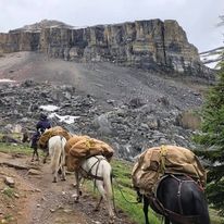 Paul with pack string - Boulder Pass.