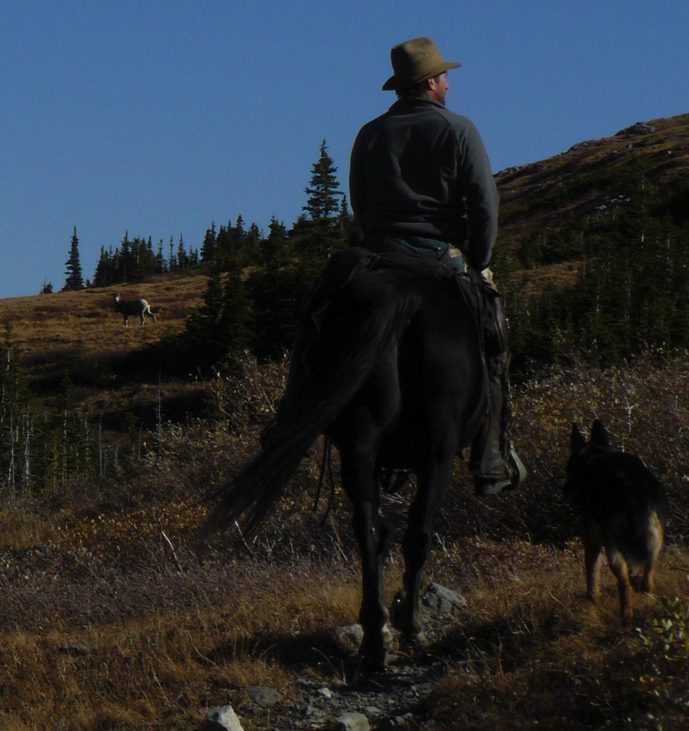 A.L. on patrol Rocky Pass, South Boundary, Jasper National Park, Sept. 2008