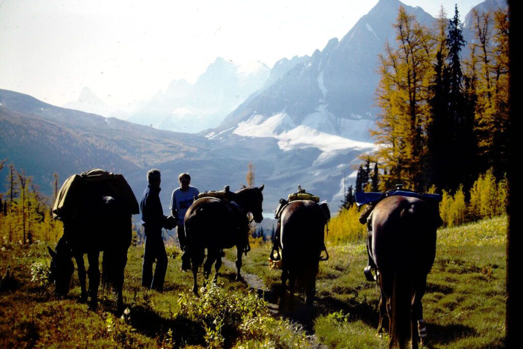 Hal Morrison on patrol at Goodsir Pass