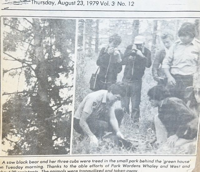 Slave River journal after we relocated a mother black bear and her 3 cubs out of downtown Fort Smith.