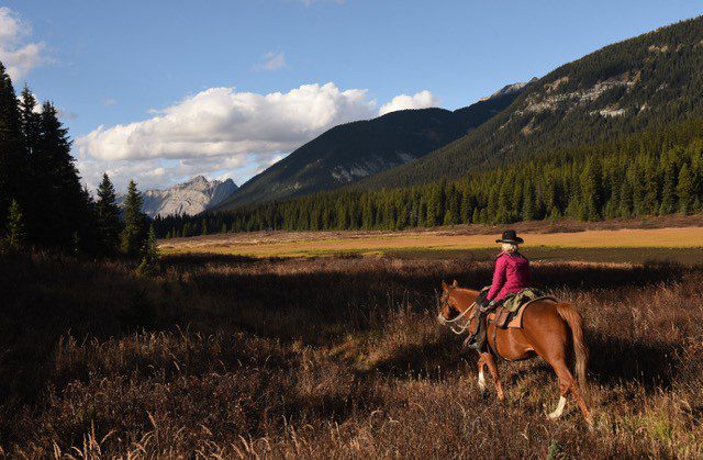 Donna White on a back country horse trip to Palliser with Brad. Photo by J. Bradford White.