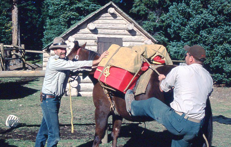 terry willis with a packhorse